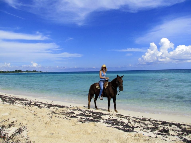 Galopando por la playa